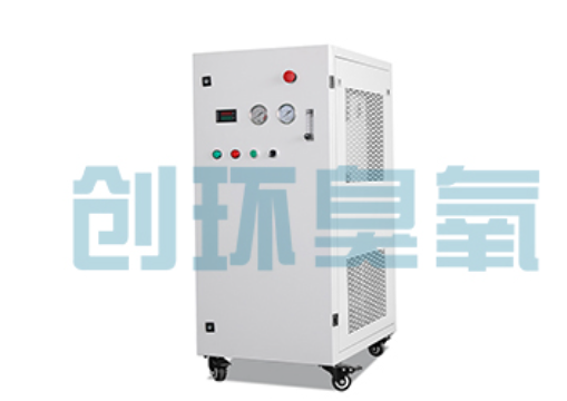 揭阳石斑鱼养殖水质调控完整指南：臭氧发生器配置与操作步骤