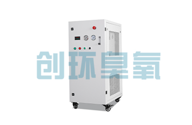 揭阳比传统换水更高效？臭氧发生器在石斑鱼养殖中的水质净化原理解析